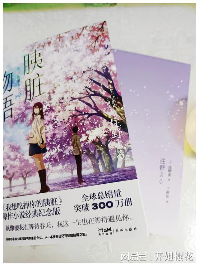 无忧国际wy6999
